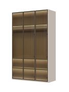 Armoire 3 portes vitrées Neiafu 06 | Éclairage intérieur | Kaschmir | Soft-Close | Pieds réglables | 224 x 137 x 56 cm