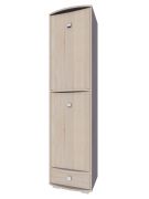 Armoire Rabaul 25 | chêne Sonoma | 200 x 50 x 43 cm | Design moderne et espace optimisé