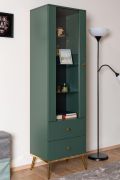 Vitrine haute Inari 01 vert forêt | 190 x 55 x 40 cm | 1 porte verre, 2 tiroirs, 4 compartiments