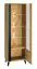 Vitrine Lassila 02, Couleur : Chêne Artisan / Noir - Dimensions : 191 x 61 x 40 cm (H x L x P), avec une porte et 5 compartiments