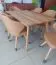 Table de salle à manger Wooden Nature 203 hêtre massif huilé naturel - Dimensions : 140 x 90 cm (l x p)
