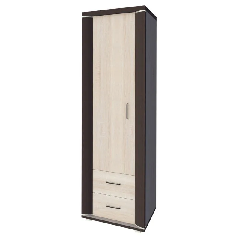 Armoire Aitape 25 | chêne Sonoma foncé / clair | 188 x 60 x 40 cm | Design moderne et spacieux