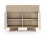 Commode / Couleur : Bolivar Naturel / Cappuccino / 2 portes battantes / 4 compartiments / 2 tiroirs / Fonction push-to-open / Éclairage LED inclus / 104 x 40 x 85 cm