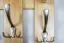 Vestiaire mural pin massif naturel Junco 345 | 125 x 50 x 33 cm | Design moderne et solide