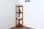Étagère d’angle en pin massif | Finition aulne | Junco 61 | 125 x 40 x 30 cm | Design moderne