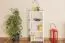 Étagère - 50 cm de large, Pin Bois-massif, Couleur: Blanc Abbildung