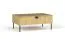 Table basse Amfipoli 03 | 1 porte abattante | Espace de rangement | Chêne Baltic | 41,5 x 100 x 66 cm | Soft-Close | Salon
