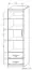 Armoire Pasuruan 01, couleur : Noyer / Érable - Dimensions : 195 x 54 x 37 cm (H x L x P)