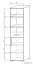 Vitrine Tabubil 23, Couleur : Wenge / Gris - Dimensions : 200 x 50 x 41 cm (H x L x P)
