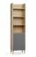 Étagère / Fonction soft-close / Une porte / Couleur : Chêne / 5 compartiments / Design étroit / Pour le bureau / Dimensions : 54,5 x 38 x 204 cm / 5 étagères / Protection des bords ABS