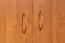 Armoire à portes battantes / armoire Plata 04, couleur : aulne - 190 x 80 x 55 cm (H x L x P)