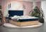Lit simple design Pilio 65 bleu & chêne doré | Couchage 140 x 200 cm | Velours | 2 rangements | Matelas à ressorts Bonell H3