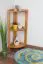 Étagère / étagère d'angle en pin massif couleurs aulne Junco 62 - 40 x 30 x 86 cm (l x p x h)