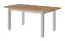 Table de salle à manger à ralonge Temerin 36 avec pieds clairs, chêne Wotan / gris mat, 135-175 x 80 cm, table bicolore, belles veinures, design moderne