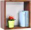 Étagère murale en pin massif finition noyer Junco 291A | 40 x 40 x 20 cm | Design moderne et robuste