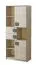 Chambre d'adolescents - Armoire Elias 02, couleur : marron clair / gris - Dimensions : 187 x 80 x 40 cm (H x L x P)