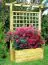 Jardinière avec treillis Lonicera petit - Dimensions : 120 x 50 x 210 cm (L x P x H)