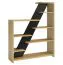 Étagère "Lipik" 04, Couleur : Chêne / Noir, massif partiel - dimensions : 150 x 120 x 36 cm (h x l x p)