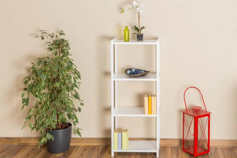 Étagère - 50 cm de large, Pin Bois-massif, Couleur: Blanc Abbildung