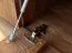 Commode Sienne 06 | 2 portes basculantes | Push-to-open | Chêne sauvage massif | Finition Tabacco huilée | Éclairage LED | 6 compartiments