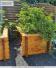Photos des clients - 2