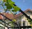 Photos des clients - 9